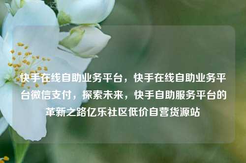 快手在线自助业务平台，快手在线自助业务平台微信支付，探索未来	，快手自助服务平台的革新之路亿乐社区低价自营货源站  第1张