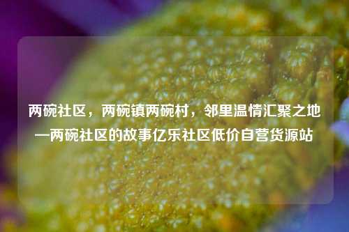 两碗社区，两碗镇两碗村，邻里温情汇聚之地—两碗社区的故事亿乐社区低价自营货源站  第1张