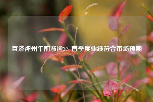 百济神州午前涨逾3% 首季度业绩符合市场预期  第1张