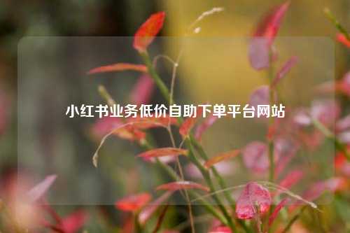 小红书业务低价自助下单平台网站  第1张