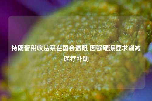 特朗普税收法案在国会遇阻 因强硬派要求削减医疗补助  第1张