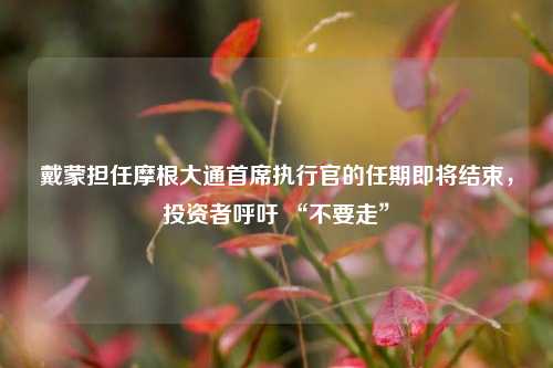 戴蒙担任摩根大通首席执行官的任期即将结束，投资者呼吁 “不要走”  第1张