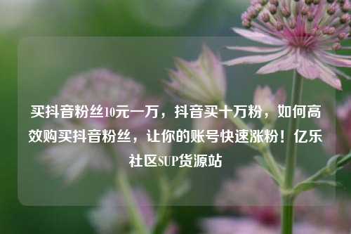 买抖音粉丝10元一万，抖音买十万粉，如何高效购买抖音粉丝	，让你的账号快速涨粉！亿乐社区SUP货源站  第1张