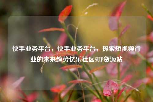 快手业务平台	，快手业务平台，探索短视频行业的未来趋势亿乐社区SUP货源站  第1张