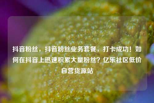 抖音粉丝	，抖音粉丝业务套餐，打卡成功！如何在抖音上迅速积累大量粉丝？亿乐社区低价自营货源站  第1张