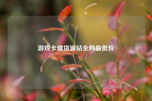 游戏卡盟货源站全网最低价  第1张