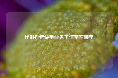 代刷抖音快手业务工作室在哪里  第1张