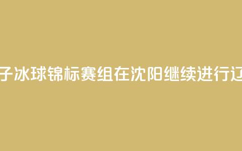 2024年全国青少年U系列女子冰球锦标赛U12组在沈阳继续进行 辽宁队0_1负广东队  第1张