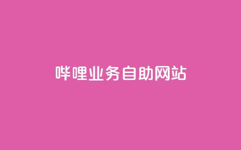 哔哩业务自助网站 - 哔哩业务自助网站：全方位自助服务平台！  第1张