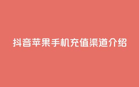 抖音苹果手机充值渠道介绍 第1张 抖音苹果手机充值渠道介绍 第1张