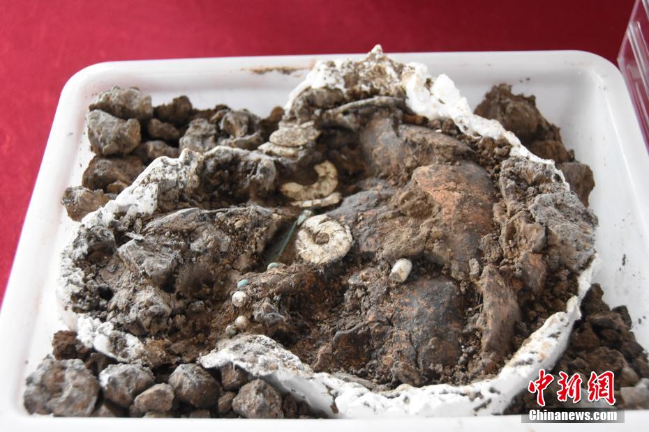 【何以中国 行走河南】走进河南永城王庄遗址 感受5000年前大汶口文化聚落的礼制内涵 第2张 【何以中国 行走河南】走进河南永城王庄遗址 感受5000年前大汶口文化聚落的礼制内涵 第2张