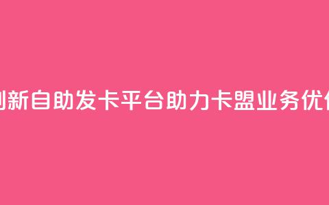 创新自助发卡平台，助力卡盟业务优化  第1张