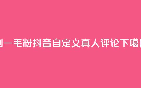 ks刷一毛1000粉 - 抖音自定义真人评论  第1张