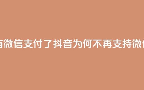 抖音怎么没有微信支付了(抖音为何不再支持微信支付) 第1张 抖音怎么没有微信支付了(抖音为何不再支持微信支付) 第1张