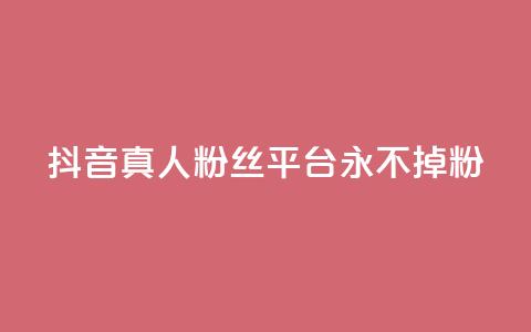 抖音真人粉丝平台 永不掉粉,抖音低价下单网站 - qq自助下单平台秒速 卡盟秒刷排行榜第一  第1张