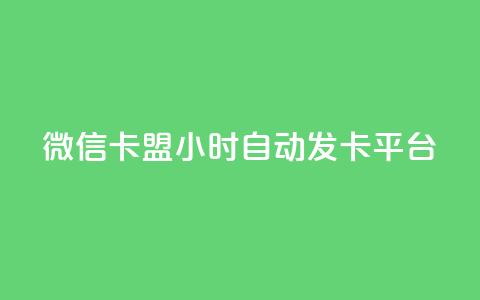 微信卡盟24小时自动发卡平台 - 24小时自动发卡，助力微信卡盟!  第1张