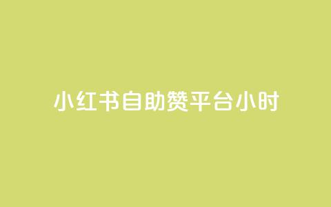 小红书自助赞平台24小时 - 小红书自助赞平台24小时服务!  第1张