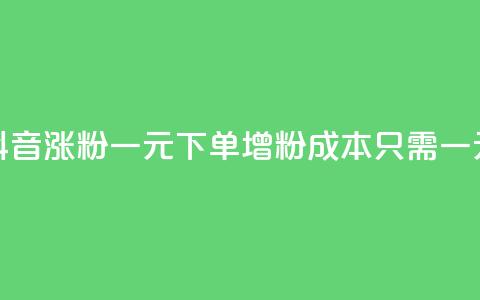 抖音涨粉一元下单(增粉成本只需一元)  第1张
