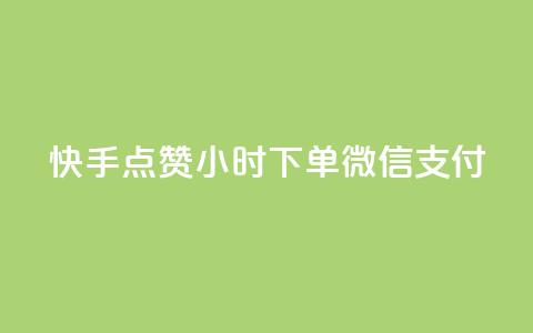 快手点赞24小时下单微信支付,雷神24小时自动下单平台 - 抖音评论业务 1元3000粉丝不掉粉丝  第1张