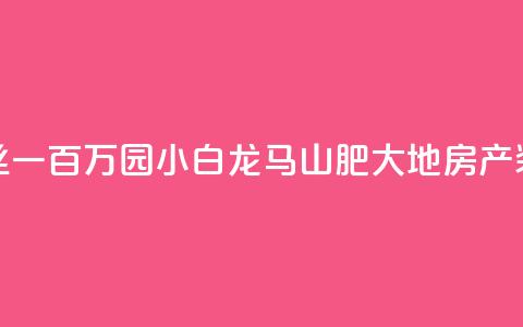快手粉丝一百万0.01园小白龙马山肥大地房产装修网站,dy自定义评论业务 - qq说说赞低价下单 qq点赞业务  第1张