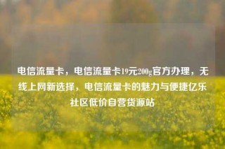 电信流量卡，电信流量卡19元200g官方办理，无线上网新选择，电信流量卡的魅力与便捷亿乐社区低价自营货源站