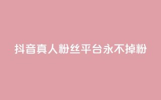 抖音真人粉丝平台 永不掉粉,qq刷访客软件手机版下载 - 抖音平台24小时自助 - qq低价说说赞空间说说的网站