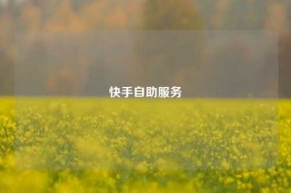 快手自助服务