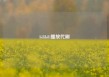 bilibili播放代刷