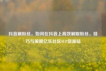 抖音刷粉丝，如何在抖音上高效刷取粉丝，技巧与策略亿乐社区SUP货源站