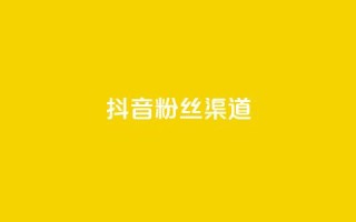 抖音粉丝渠道 - 提升抖音粉丝增长的方法。