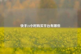 快手24小时购买平台有哪些