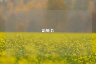 流量卡
