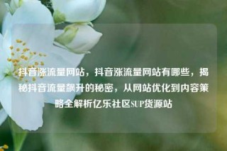 抖音涨流量网站，抖音涨流量网站有哪些，揭秘抖音流量飙升的秘密，从网站优化到内容策略全解析亿乐社区SUP货源站