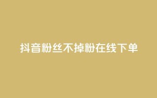 抖音粉丝不掉粉在线下单 - 提升抖音粉丝留存率在线下单的全新方法。
