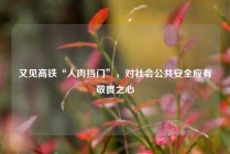 又见高铁“人肉挡门”，对社会公共安全应有敬畏之心