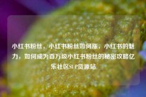 小红书粉丝，小红书粉丝如何涨，小红书的魅力，如何成为百万级小红书粉丝的秘密攻略亿乐社区SUP货源站