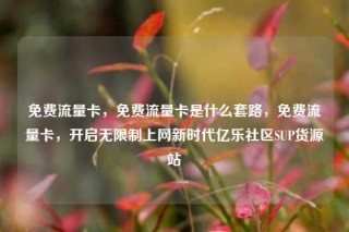 免费流量卡，免费流量卡是什么套路，免费流量卡，开启无限制上网新时代亿乐社区SUP货源站