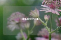 玖伍系统的社区