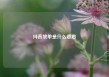 抖音放单是什么意思
