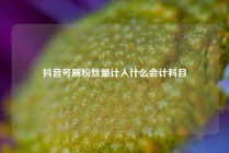 抖音号刷粉丝量计入什么会计科目
