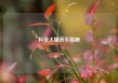 抖音火爆音乐歌曲