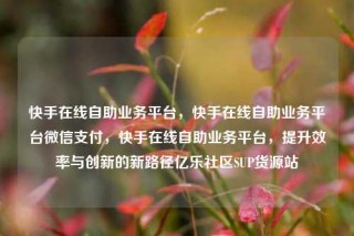 快手在线自助业务平台，快手在线自助业务平台微信支付，快手在线自助业务平台，提升效率与创新的新路径亿乐社区SUP货源站