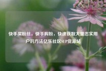 快手买粉丝，快手购粉，快速获取大量忠实用户的方法亿乐社区SUP货源站