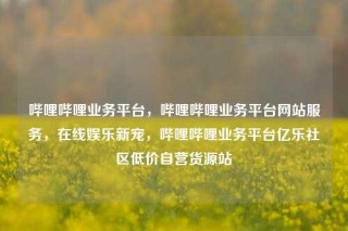 哔哩哔哩业务平台，哔哩哔哩业务平台网站服务，在线娱乐新宠，哔哩哔哩业务平台亿乐社区低价自营货源站