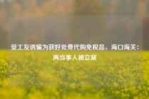 受工友诱骗为获好处费代购免税品，海口海关：两当事人被立案