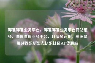 哔哩哔哩业务平台，哔哩哔哩业务平台网站服务，哔哩哔哩业务平台，打造多元化、高质量视频娱乐新生态亿乐社区SUP货源站
