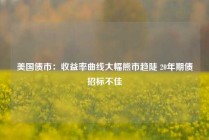 美国债市：收益率曲线大幅熊市趋陡 20年期债招标不佳