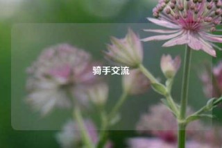 骑手交流