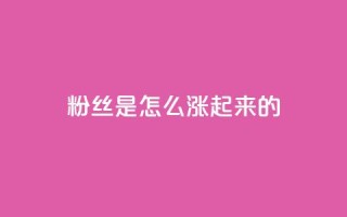 粉丝是怎么涨起来的,免费领取5000点券王者荣耀 - 拼多多帮砍助力软件 - 小程序刷好友助力软件