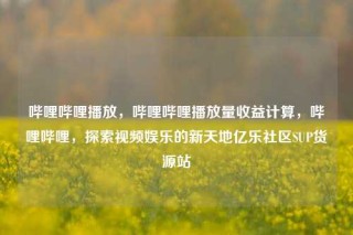 哔哩哔哩播放，哔哩哔哩播放量收益计算，哔哩哔哩，探索视频娱乐的新天地亿乐社区SUP货源站